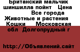 Британский мальчик шиншилла-пойнт › Цена ­ 5 000 - Все города Животные и растения » Кошки   . Московская обл.,Долгопрудный г.